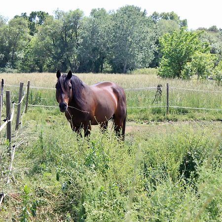 Lobilum En Camargue Vila Saint-Martin-de-Crau Exterior foto