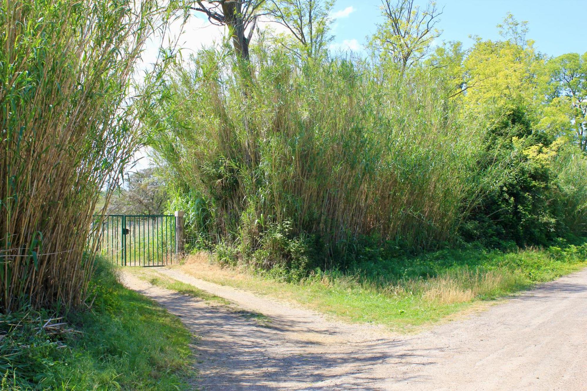 Lobilum En Camargue Vila Saint-Martin-de-Crau Exterior foto